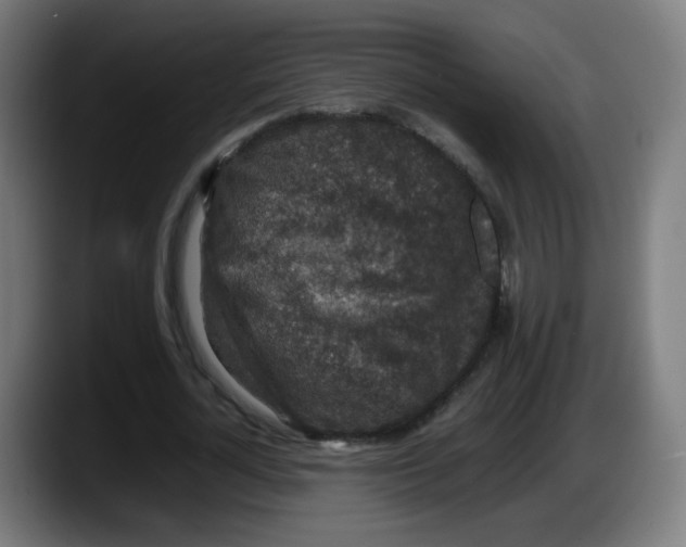 X0000087600724200705251921