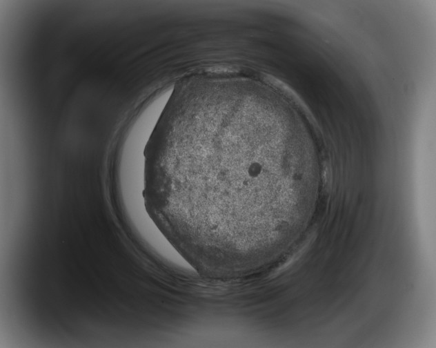 X0000087600725200705251921