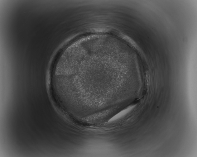 X0000087600726200705251921