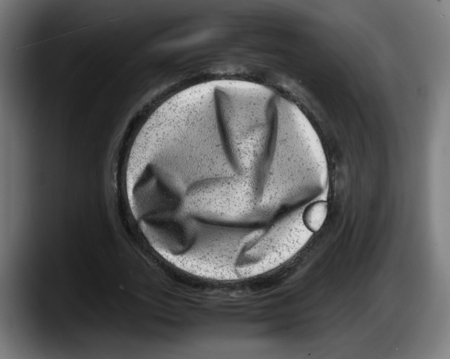 X0000087600727200705251921