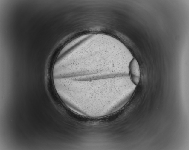 X0000087600728200705251921