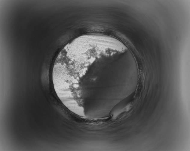 X0000087600729200705251921