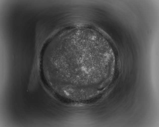 X0000087600730200705251921