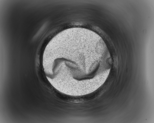 X0000087600731200705251921