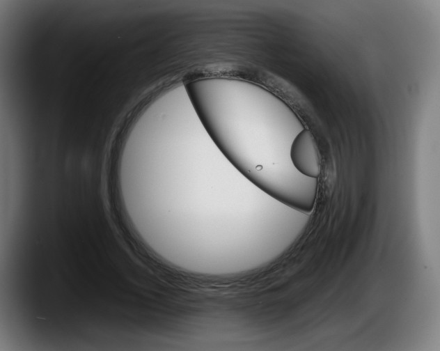 X0000087600732200705251921