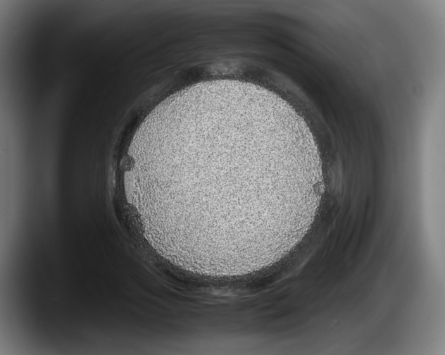 X0000087600733200705251921