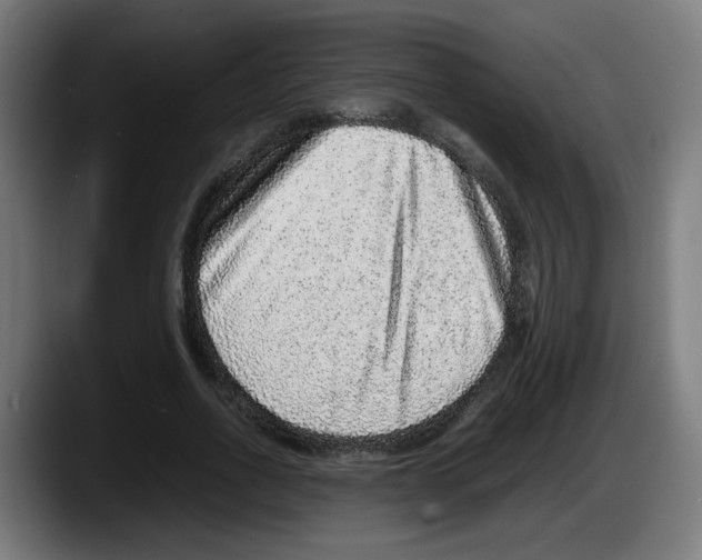 X0000087600734200705251922