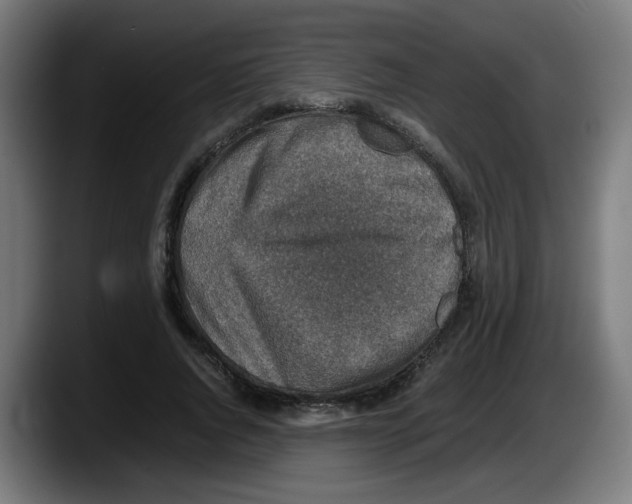 X0000087600736200705251922