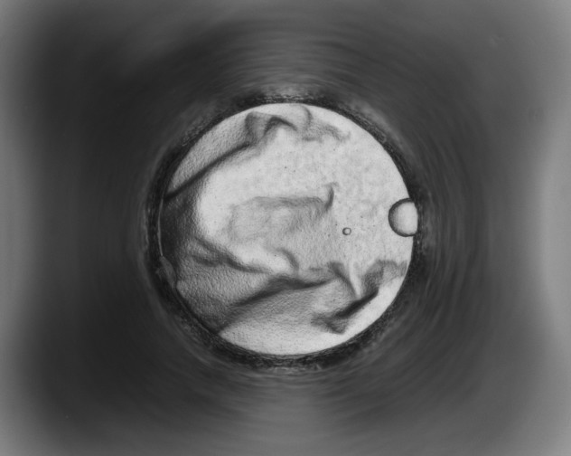 X0000087600738200705251922