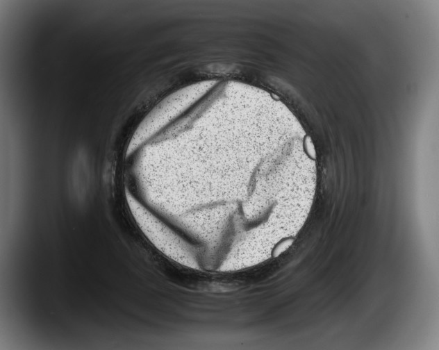 X0000087600739200705251922