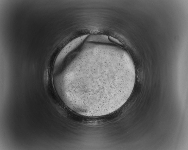 X0000087600740200705251922