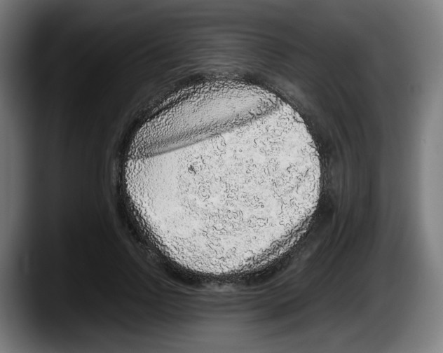 X0000087600742200705251922