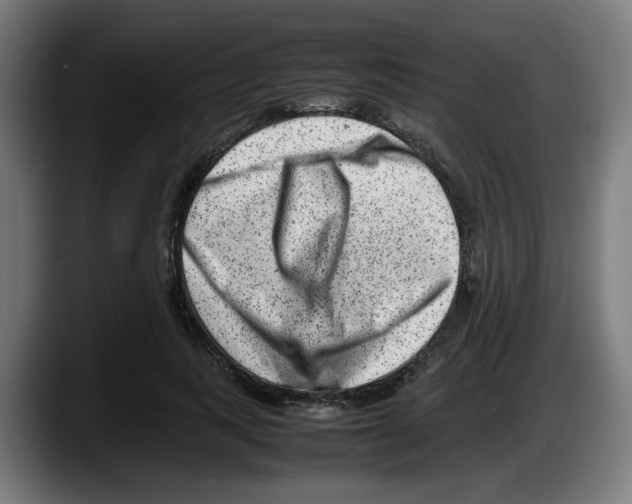 X0000087600743200705251922