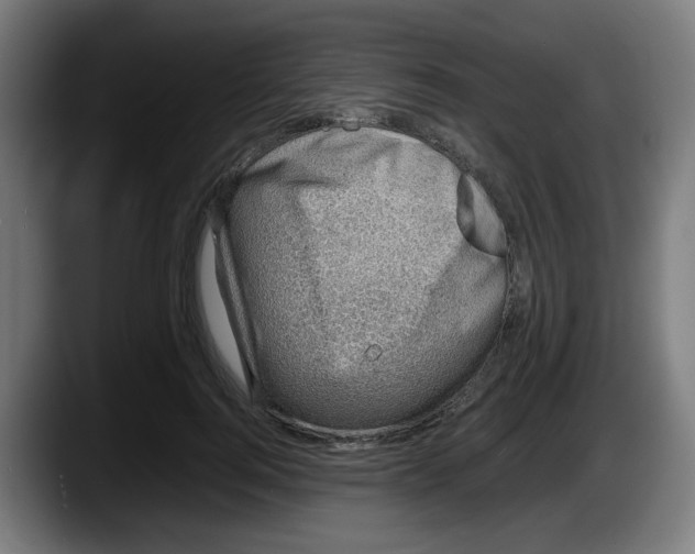 X0000087600744200705251922