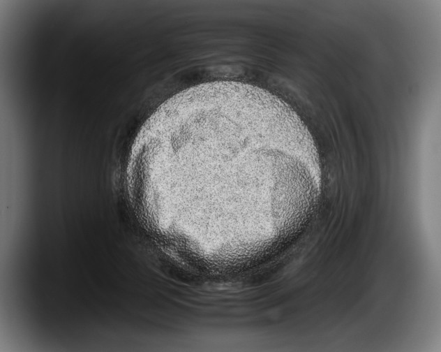 X0000087600745200705251922