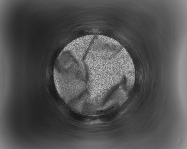 X0000087600747200705251922