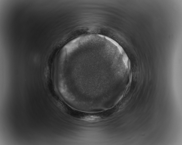 X0000087600748200705251922