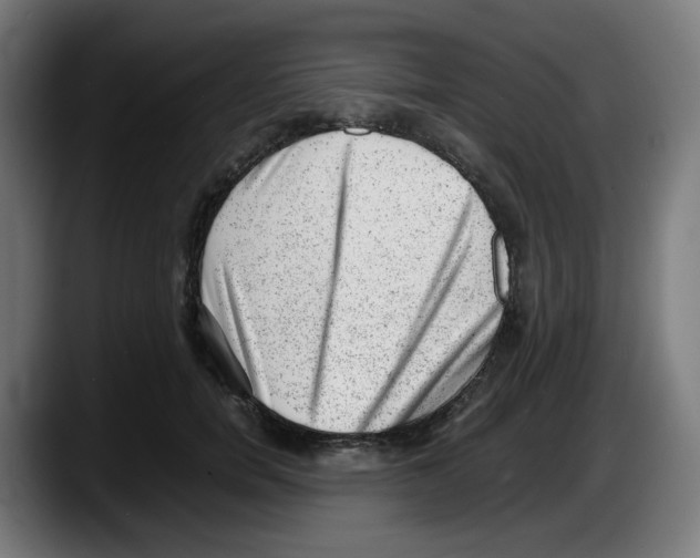 X0000087600750200705251922