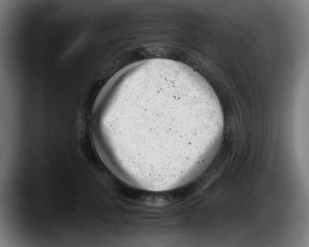 X0000087600751200705251922