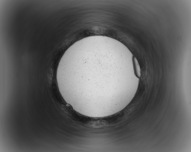 X0000087600752200705251922