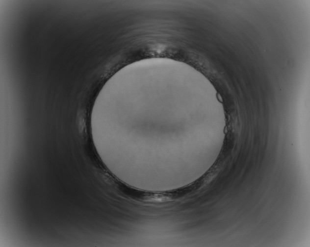 X0000087600754200705251922