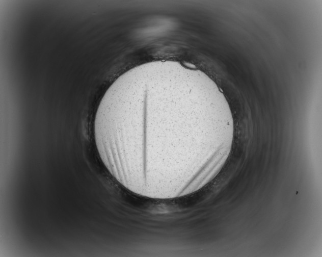 X0000087600755200705251922