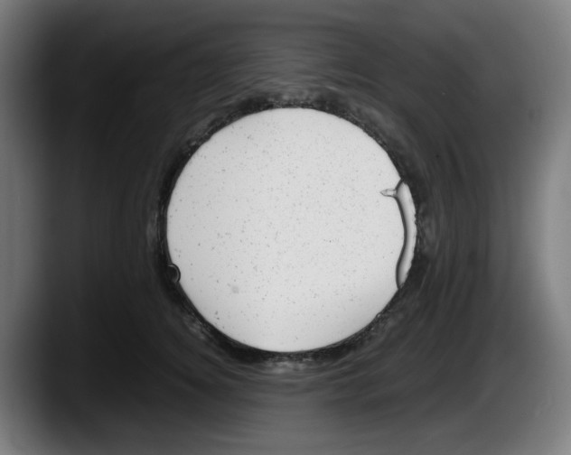 X0000087600756200705251922