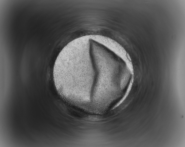 X0000087600758200705251922