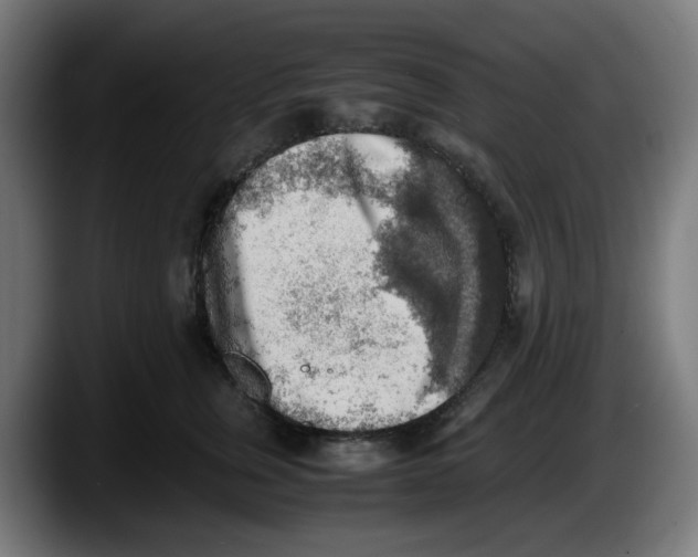 X0000087600759200705251922