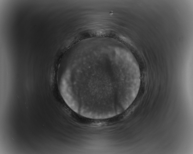 X0000087600760200705251922