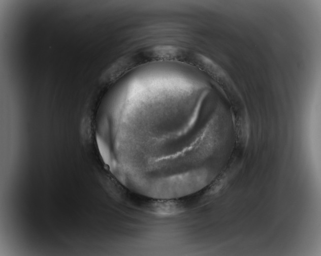 X0000087600762200705251922