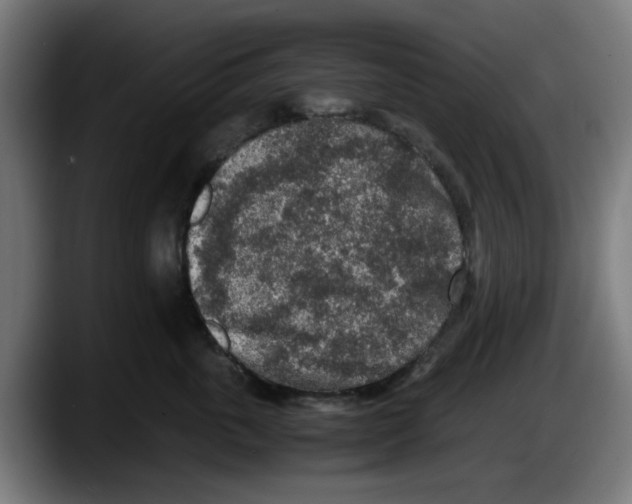 X0000087600763200705251922