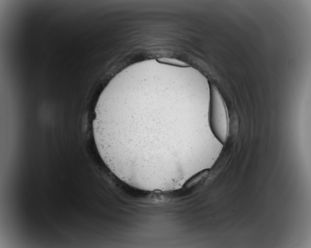 X0000087600764200705251922