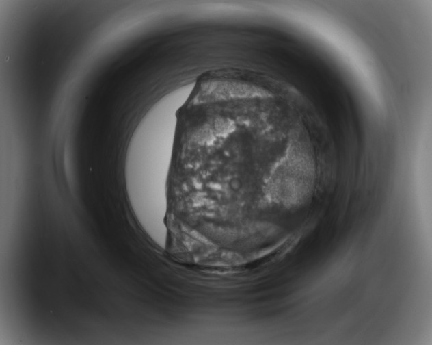 X0000087600765200705251922