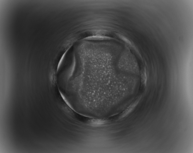 X0000087600766200705251922