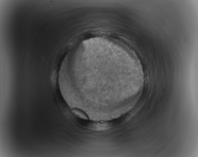 X0000087600767200705251922