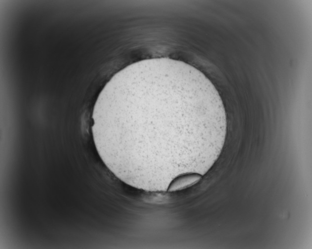 X0000087600768200705251922