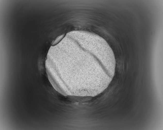 X0000087600770200705251921