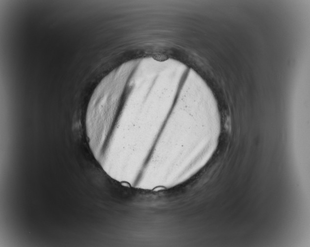 X0000087600771200705251921