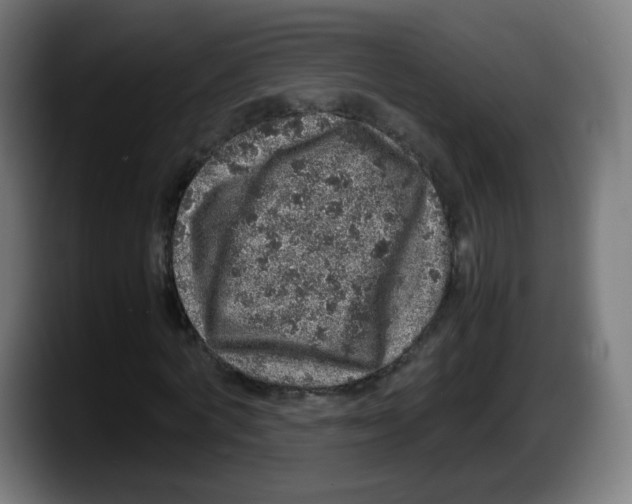 X0000087600772200705251921