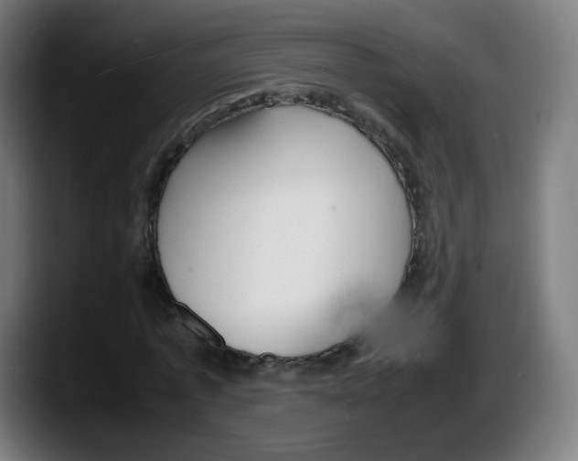 X0000087600773200705251921