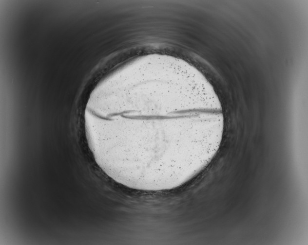 X0000087600776200705251921