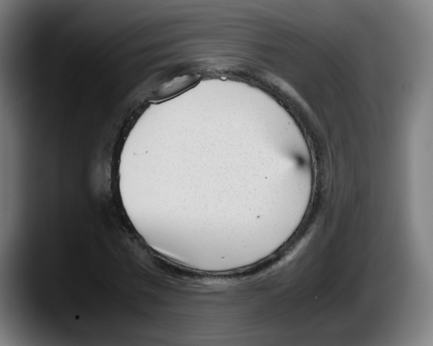 X0000087600777200705251921