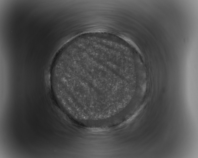 X0000087600781200705251921