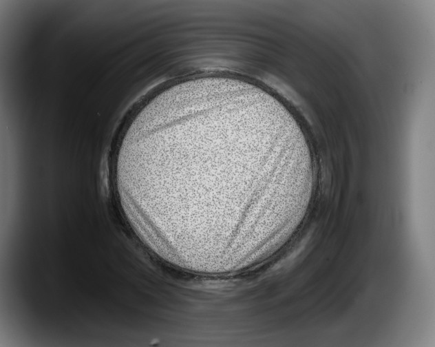 X0000087600782200705251921