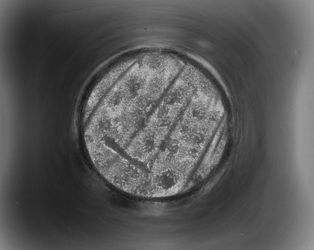 X0000087600783200705251921