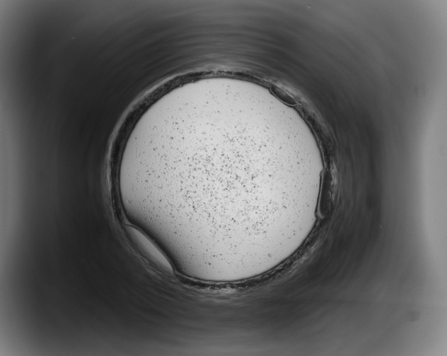 X0000087600784200705251921