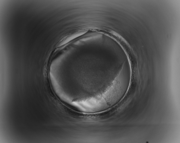 X0000087600785200705251921