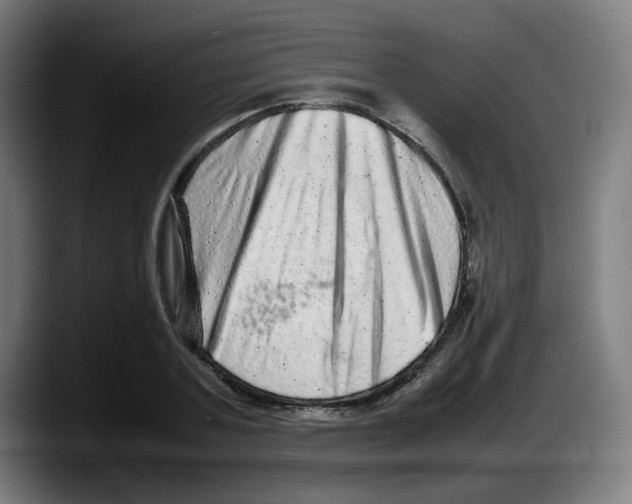 X0000087600787200705251921