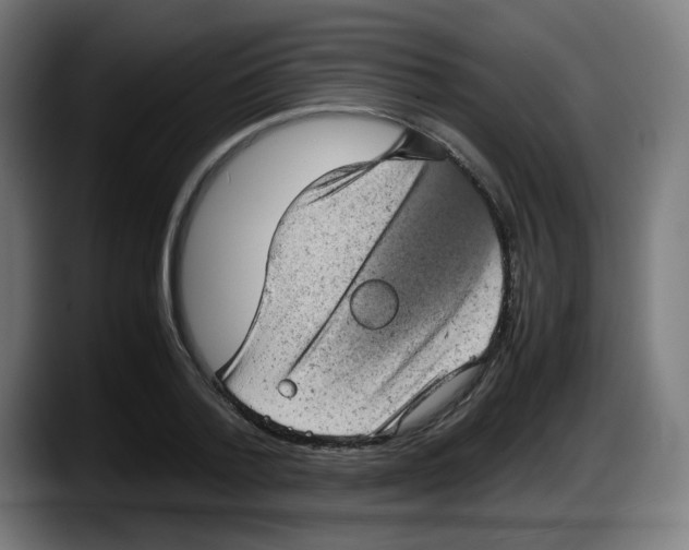 X0000087600788200705251921